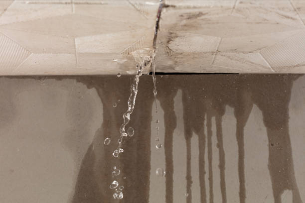 Professional Water Damage Repair technician working in Crockett Mills, TN